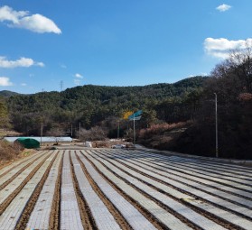 경상북도 고령군 쌍림면 합가리 377번지 외 1필지  / 토지형 태양광발전소 90㎾ 6구좌