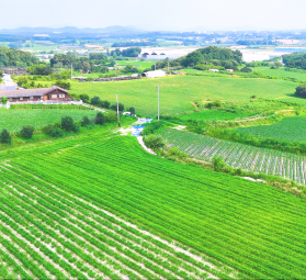 경기도 이천시 대월면 도리리 560-6번지 외 3필지 / 토지형 태양광발전소 100kW 1…