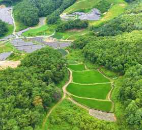 충청북도 제천시 봉양읍 공전리 178번지 외 3필지 / 토지형 태양광발전소 100㎾ 11구…