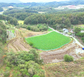 충청북도 괴산군 괴산읍 능촌리 323번지 외 5필지 / 토지형 태양광발전소 90kW 7구좌…