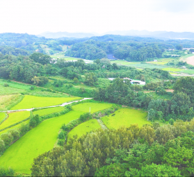 충청남도 공주시 탄천면 안영리 372번지 외 22필지 / 토지형 태양광발전소 90㎾ 3구좌…