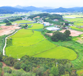 충청남도 공주시 이인면 용성리 165번지 외 6필지 / 토지형 태양광발전소 90kW 6구좌…
